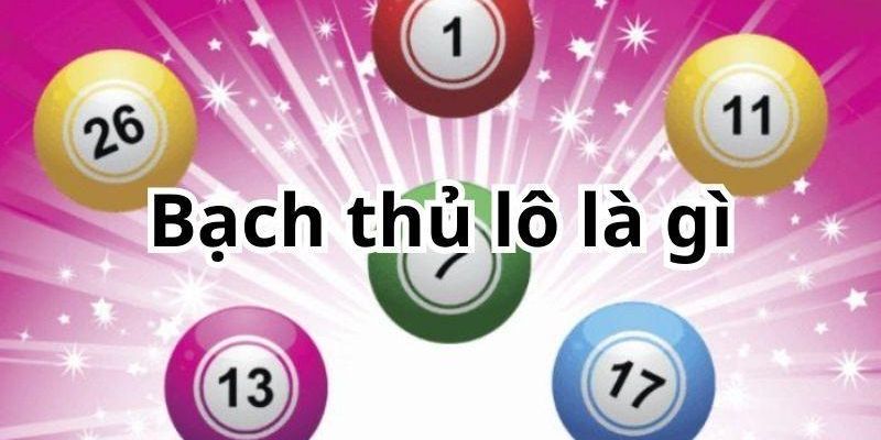 Bạch thủ lô là gì Bạch thủ lô là gì