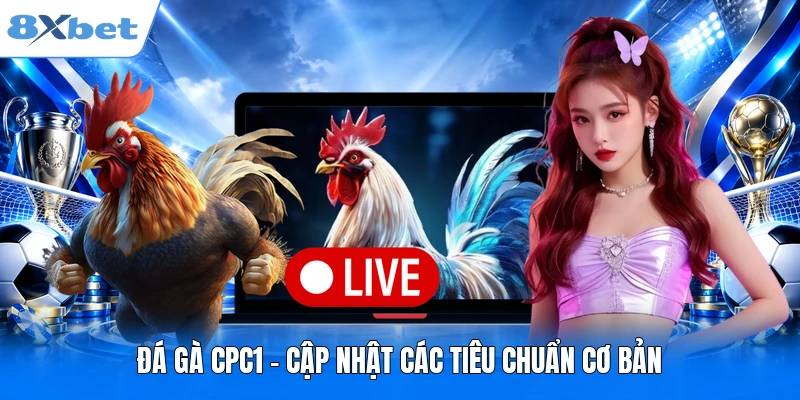 Đá gà CPC1 - Những Lý Do Mà Bạn Nên Truy Cập Ngay Đá gà CPC1 - Cập nhật các tiêu chuẩn cơ bản